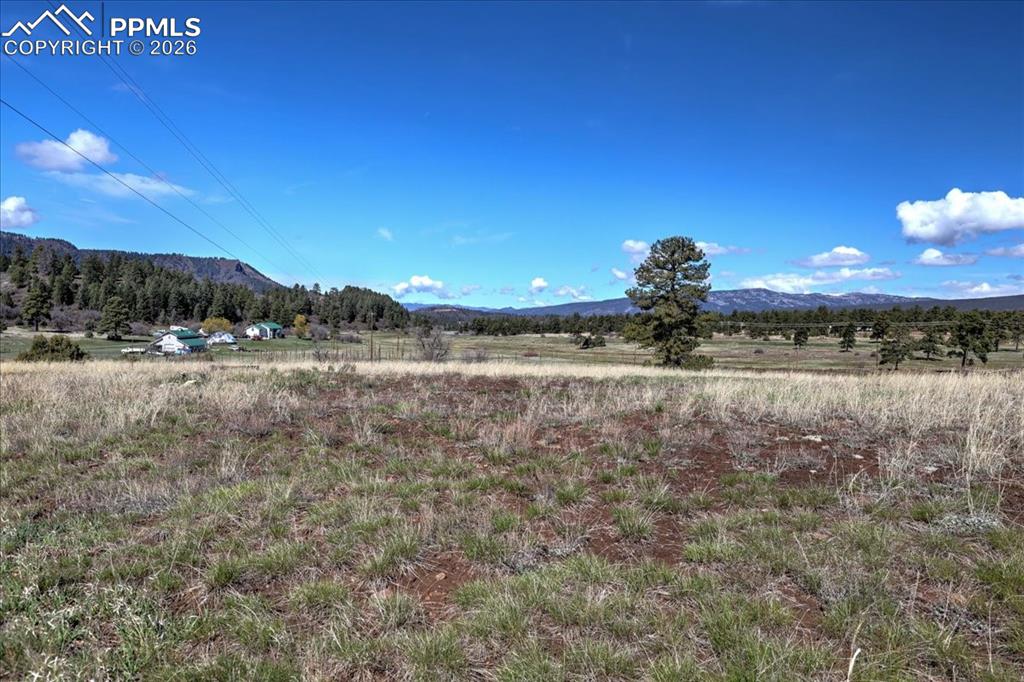1234 Scenic Avenue Pagosa Springs CO 81147