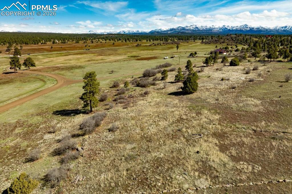 1234 Scenic Avenue Pagosa Springs CO 81147