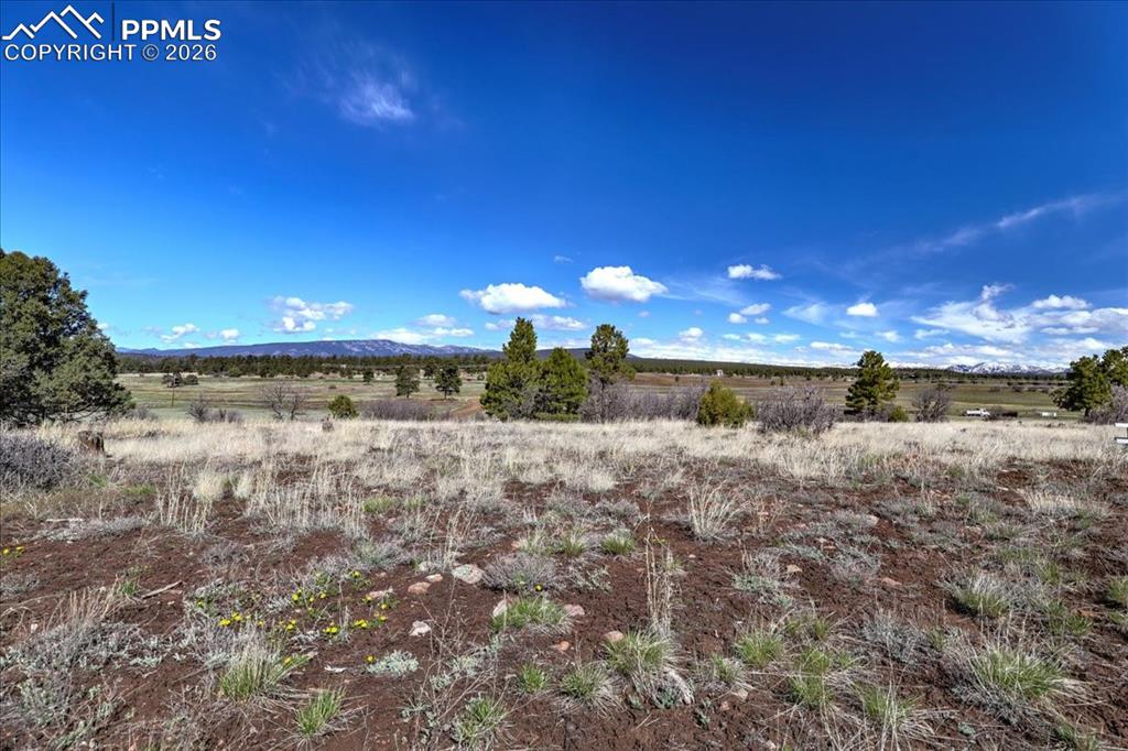 1234 Scenic Avenue Pagosa Springs CO 81147