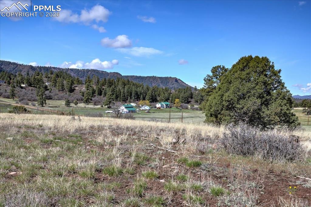 1234 Scenic Avenue Pagosa Springs CO 81147