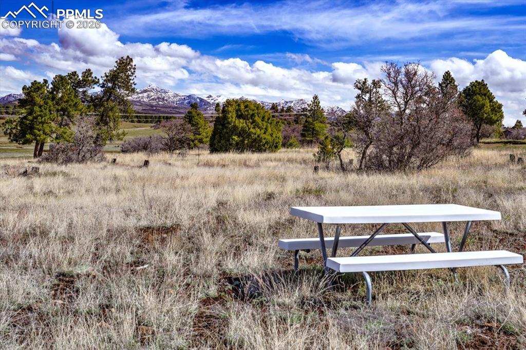 1234 Scenic Avenue Pagosa Springs CO 81147