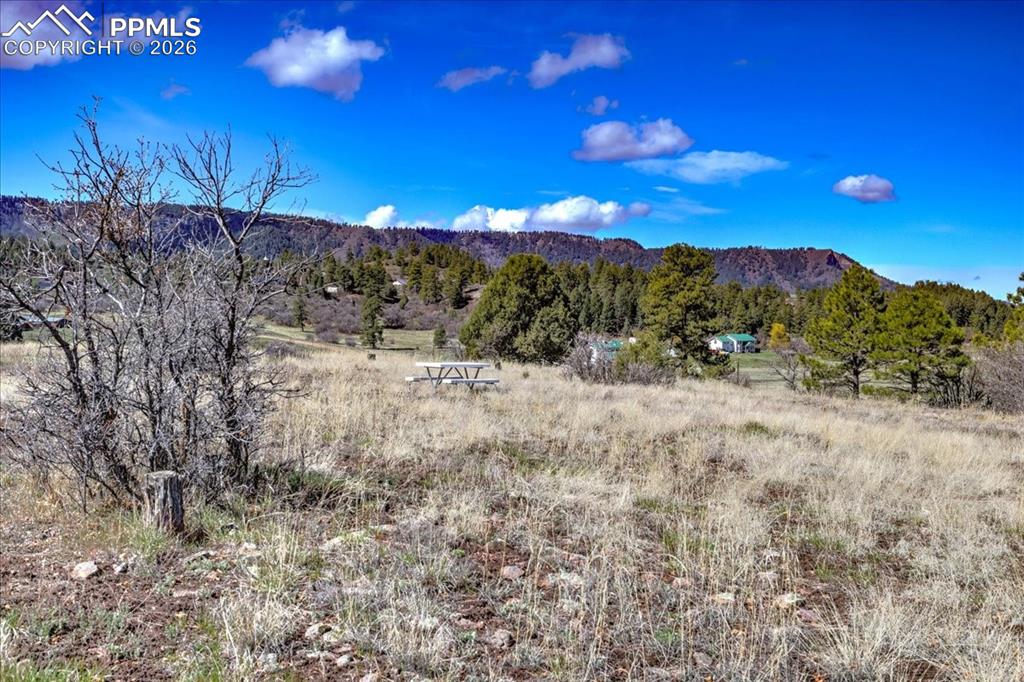 1234 Scenic Avenue Pagosa Springs CO 81147