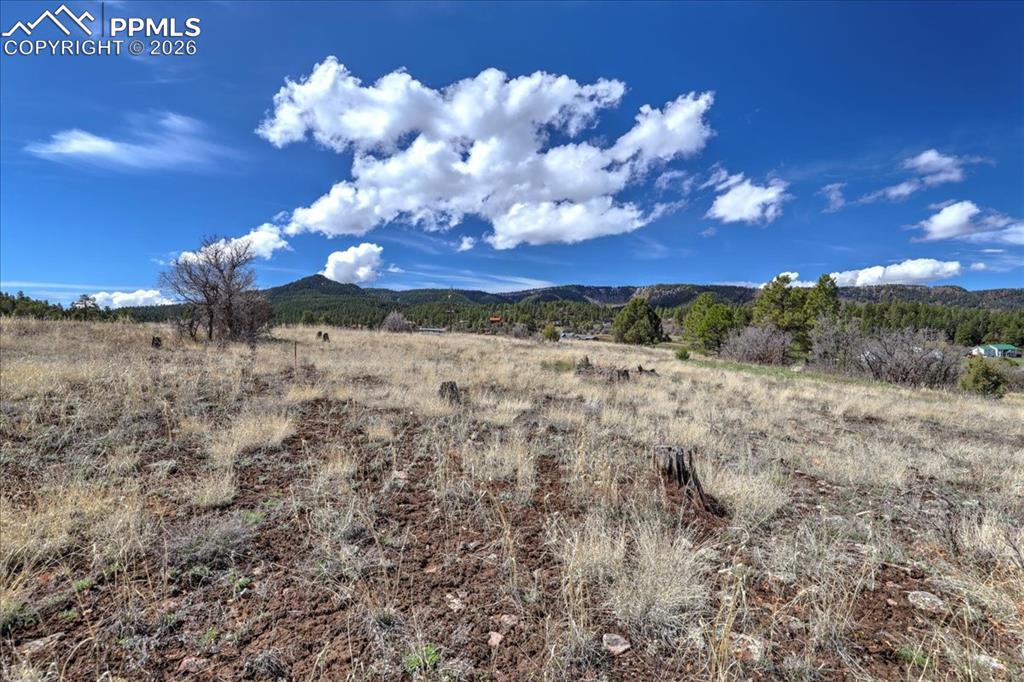1234 Scenic Avenue Pagosa Springs CO 81147