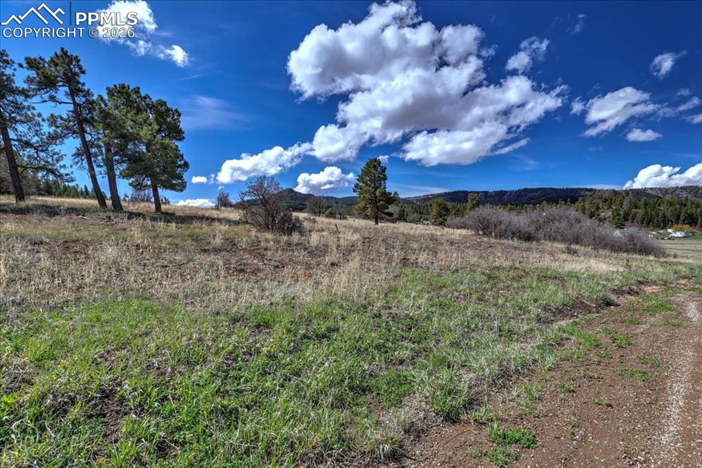 1234 Scenic Avenue Pagosa Springs CO 81147