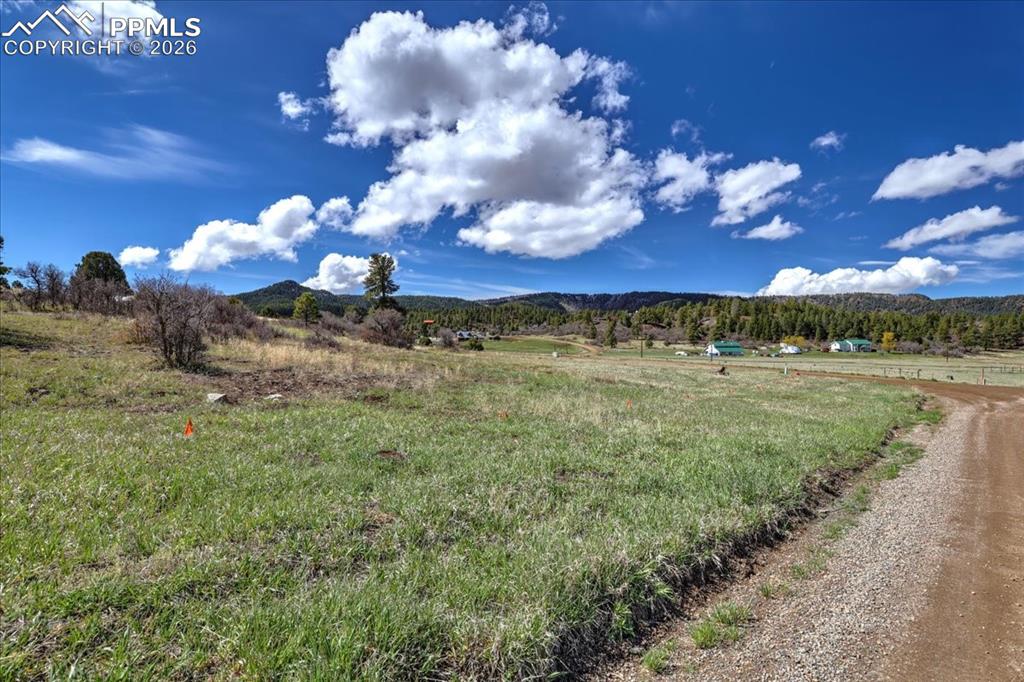 1234 Scenic Avenue Pagosa Springs CO 81147