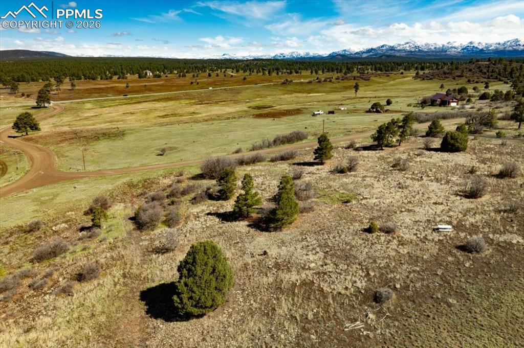 1234 Scenic Avenue Pagosa Springs CO 81147