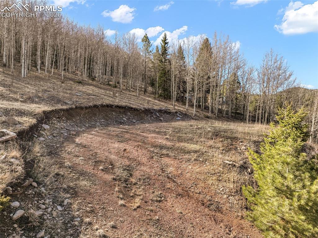 690 Anges Drive Cripple Creek CO 80813