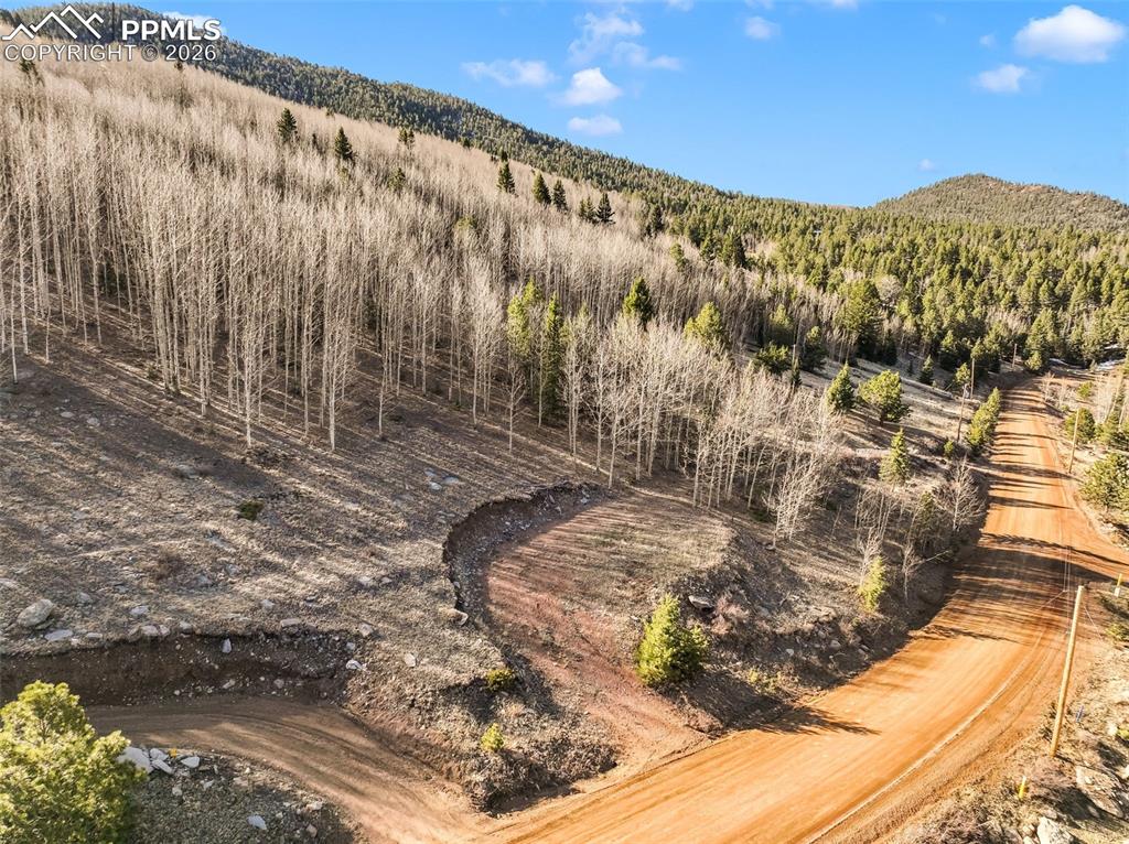 690 Anges Drive Cripple Creek CO 80813