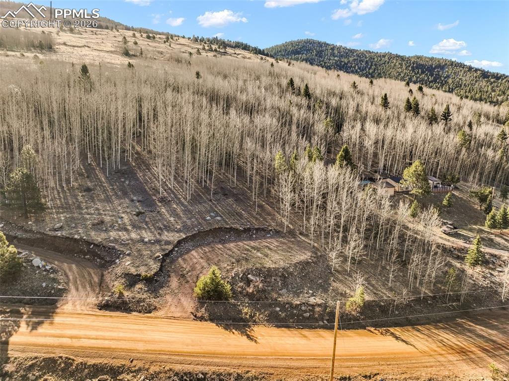 690 Anges Drive Cripple Creek CO 80813