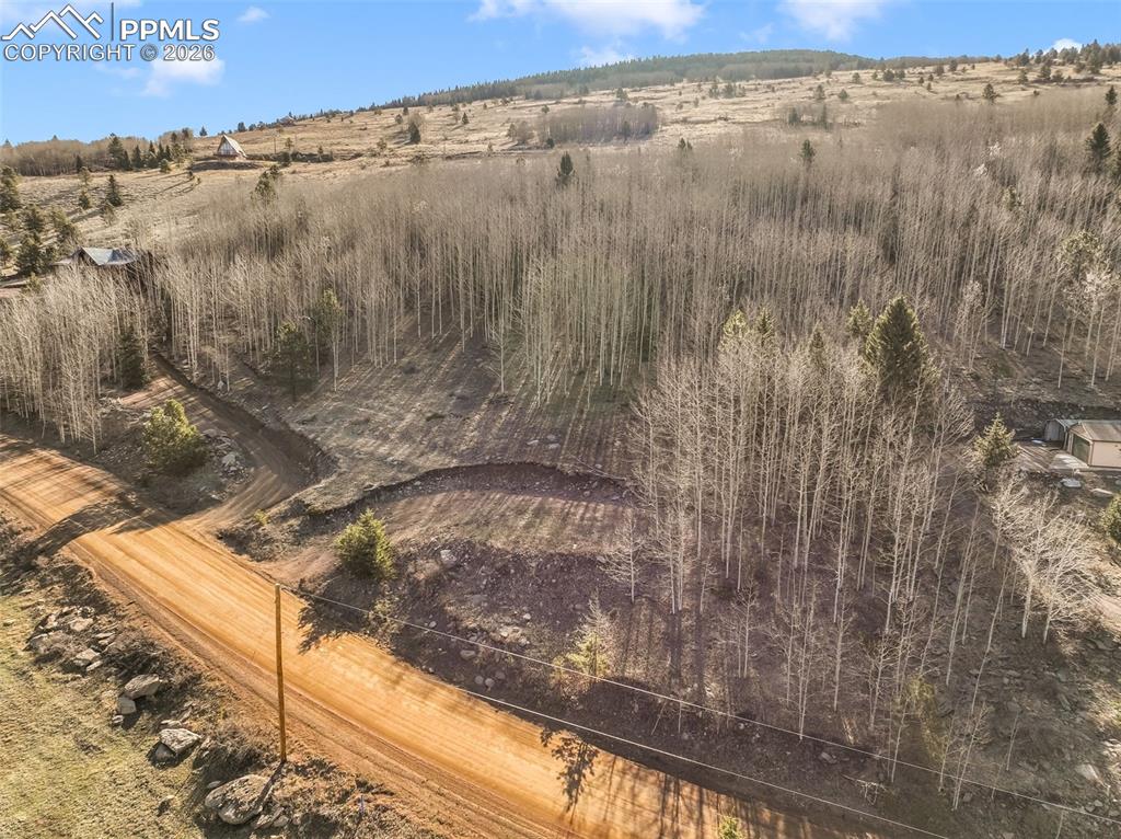 690 Anges Drive Cripple Creek CO 80813