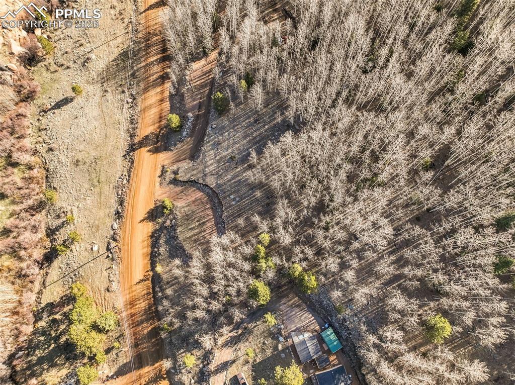 690 Anges Drive Cripple Creek CO 80813