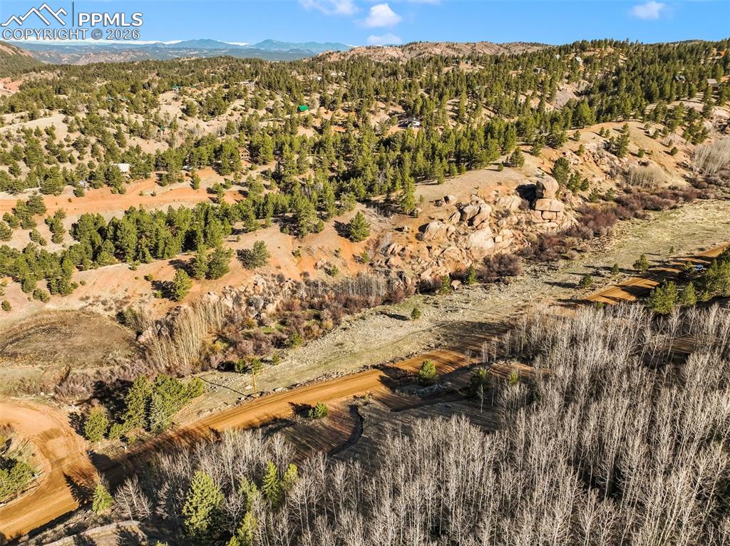 690 Anges Drive Cripple Creek CO 80813
