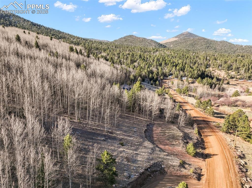 690 Anges Drive Cripple Creek CO 80813