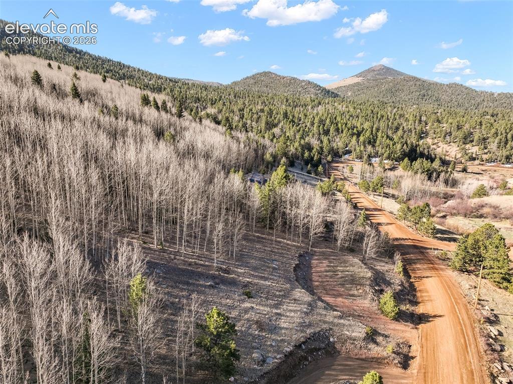 690 Anges Drive Cripple Creek CO 80813