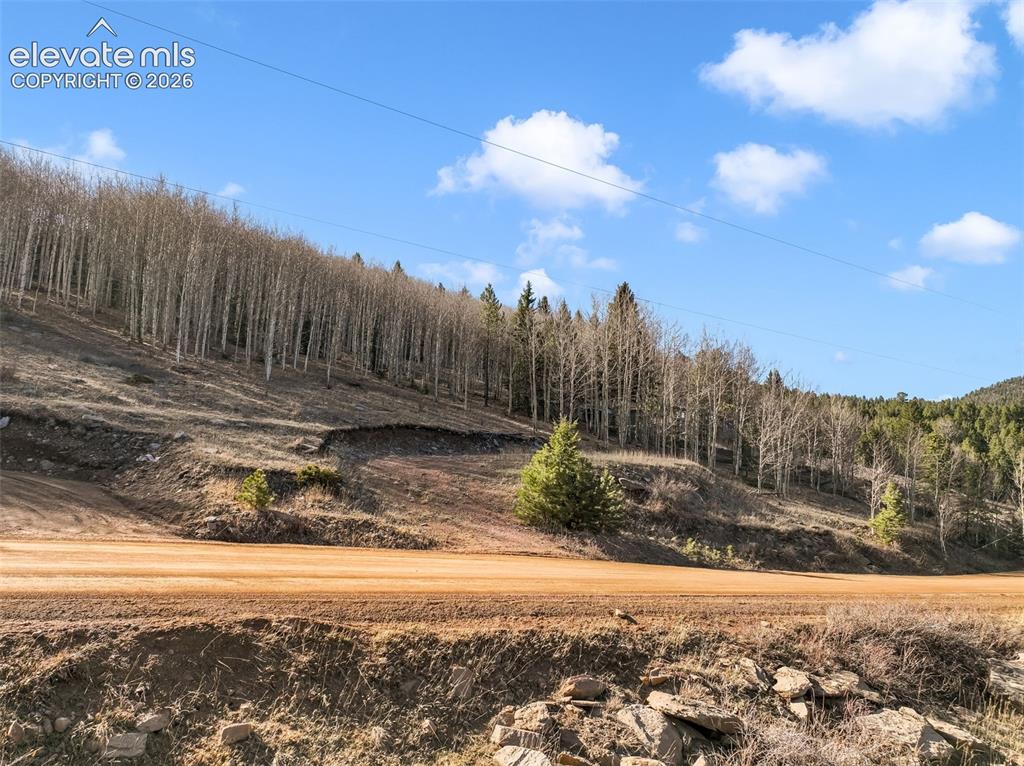 690 Anges Drive Cripple Creek CO 80813