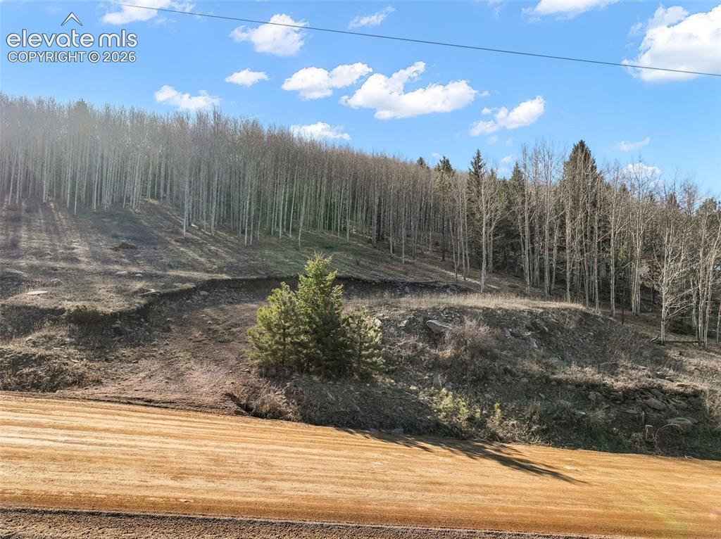 690 Anges Drive Cripple Creek CO 80813