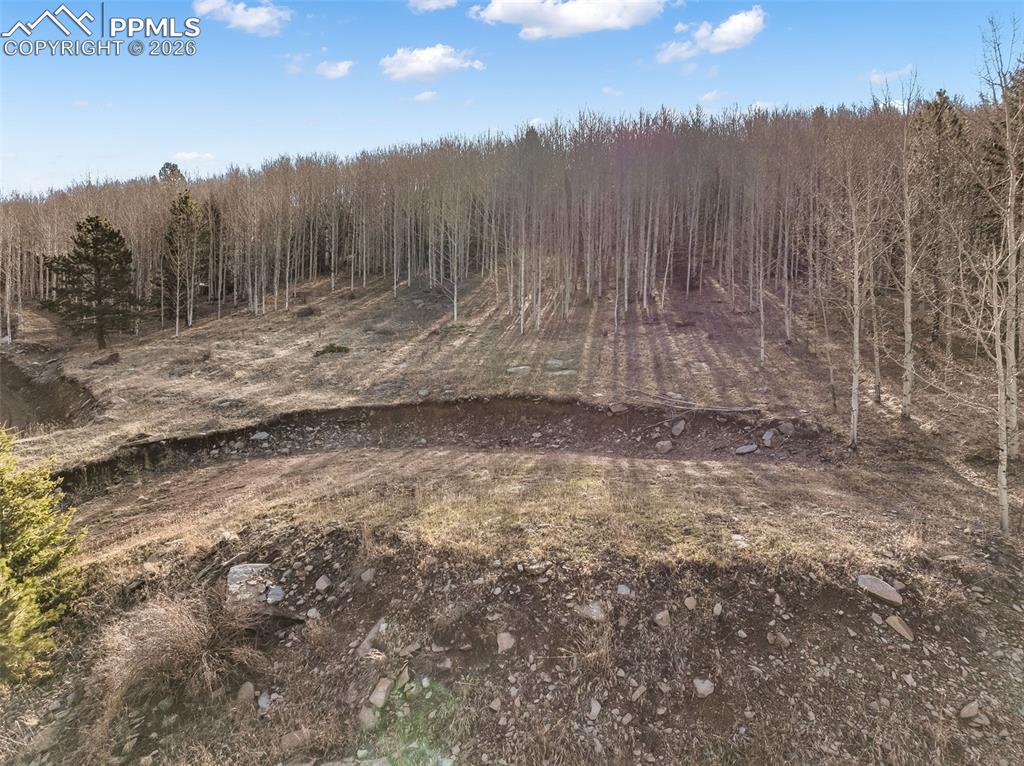 690 Anges Drive Cripple Creek CO 80813