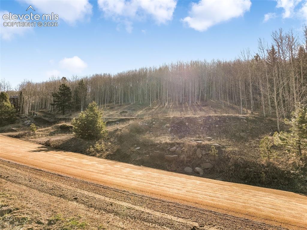 690 Anges Drive Cripple Creek CO 80813