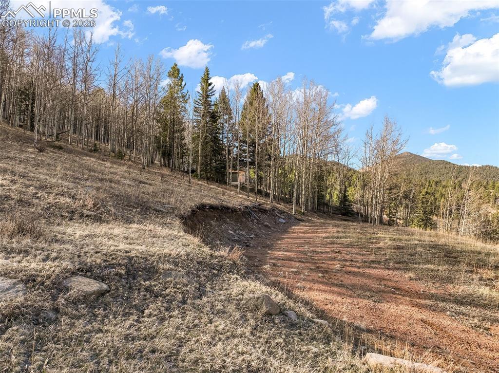 690 Anges Drive Cripple Creek CO 80813