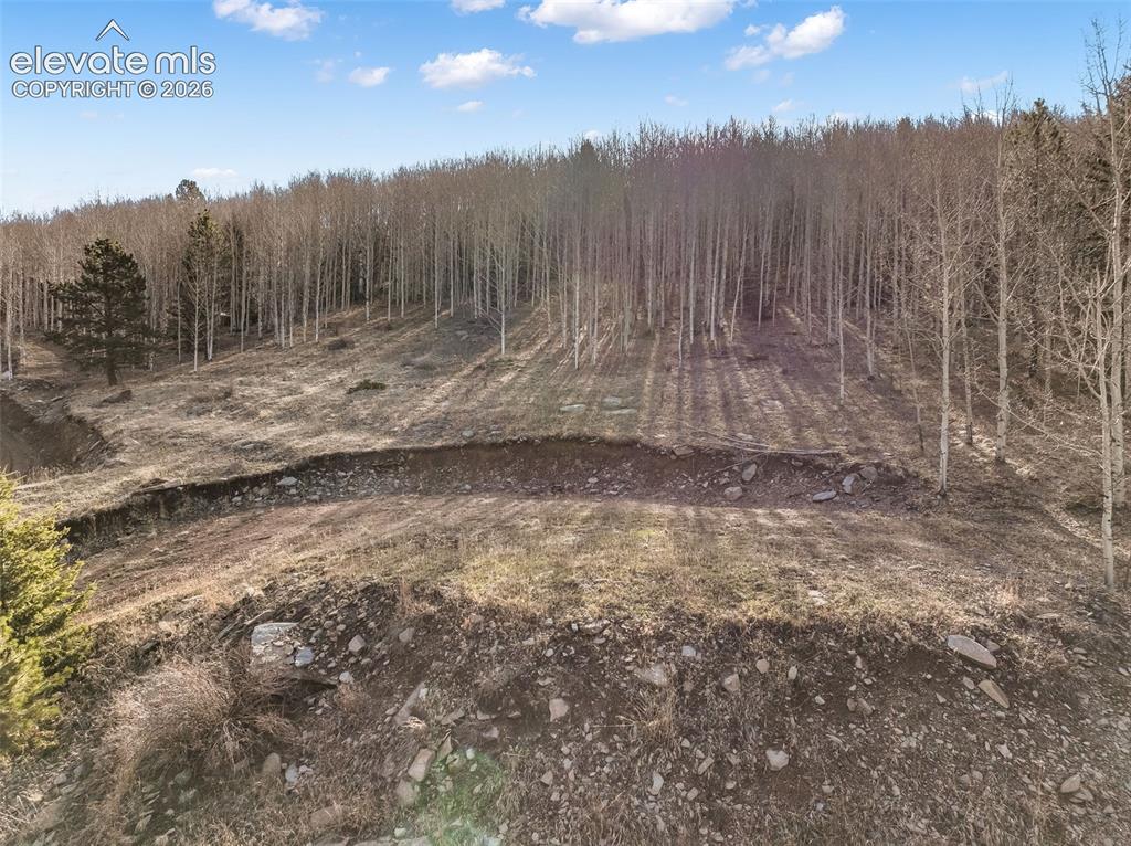 690 Anges Drive Cripple Creek CO 80813