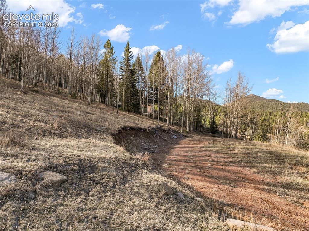 690 Anges Drive Cripple Creek CO 80813