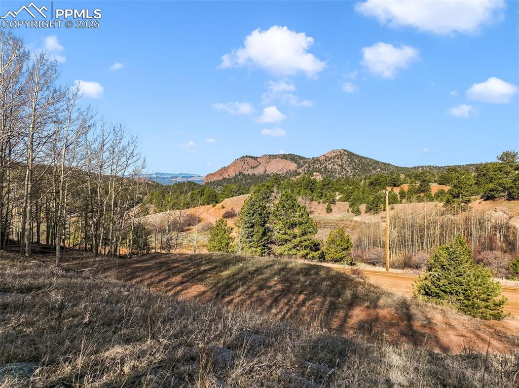690 Anges Drive Cripple Creek CO 80813
