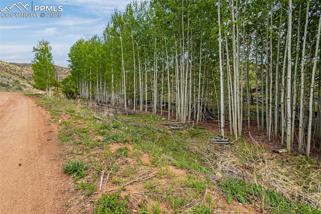 L1 B4 Columbine Circle Woodland Park CO 80863