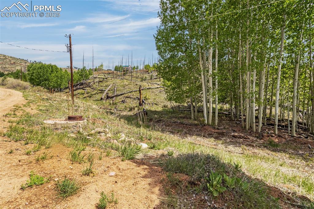 L1 B4 Columbine Circle Woodland Park CO 80863