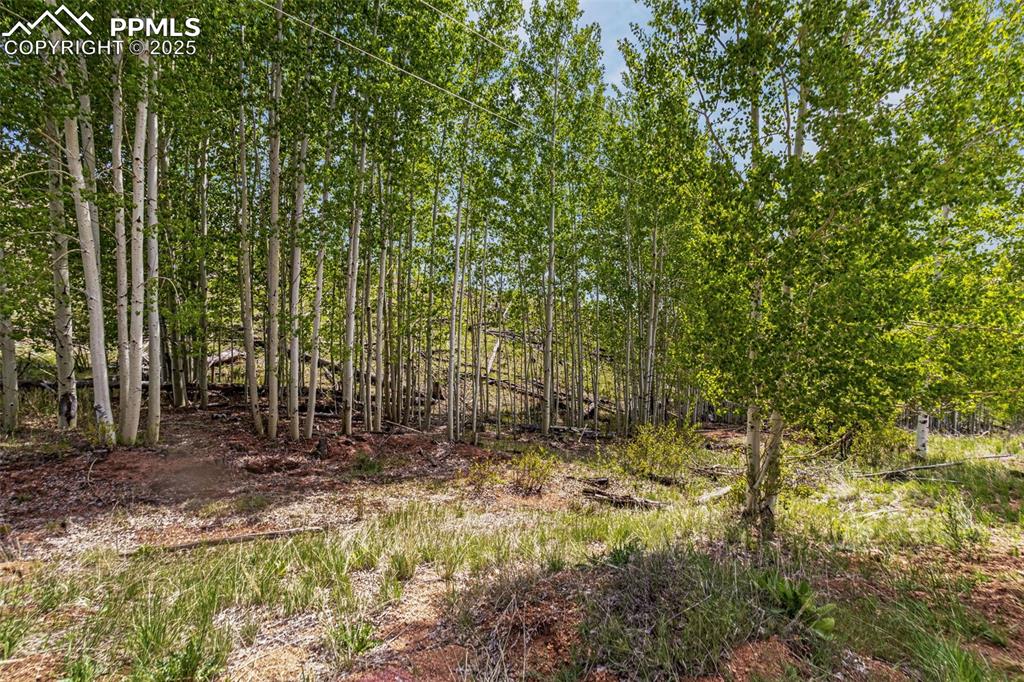 L1 B4 Columbine Circle Woodland Park CO 80863