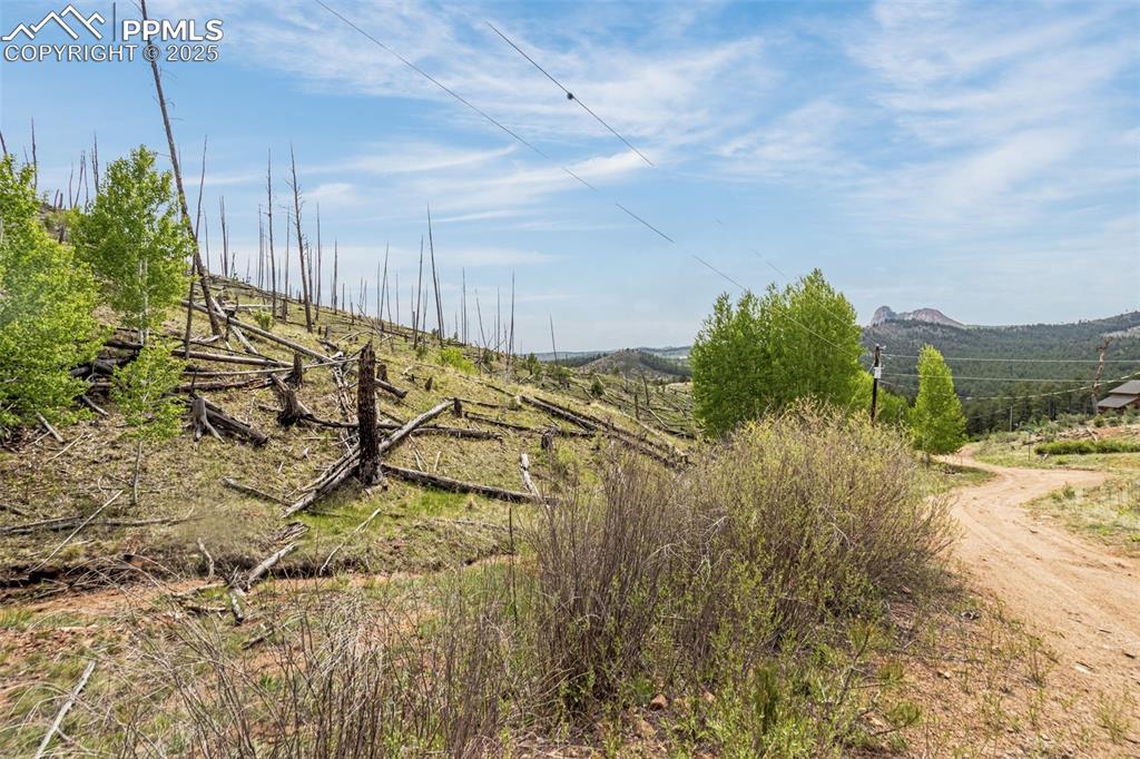 L1 B4 Columbine Circle Woodland Park CO 80863