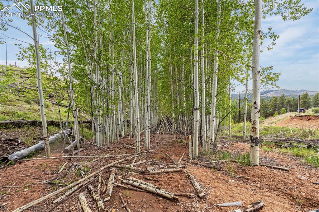 L1 B4 Columbine Circle Woodland Park CO 80863