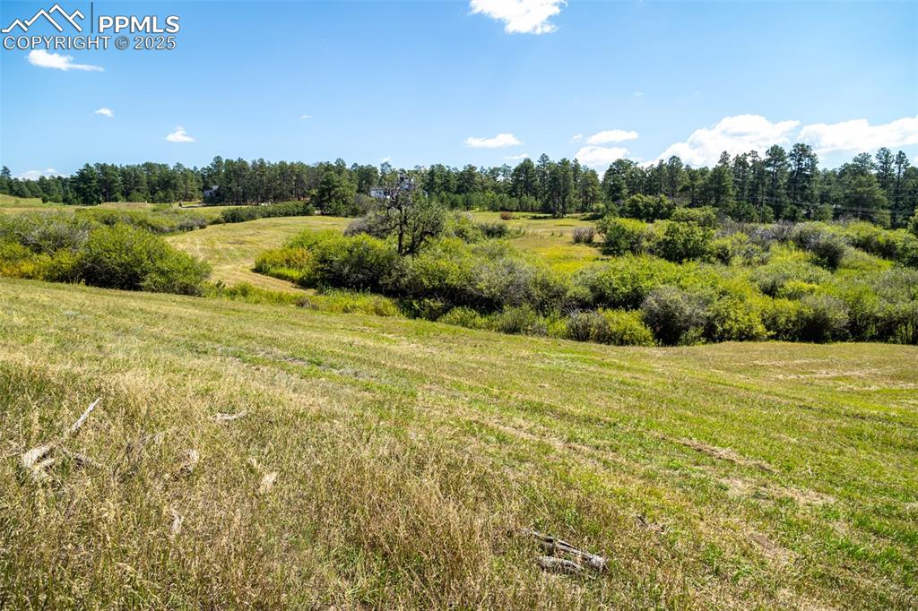 331 Grandwood Drive Monument CO 80132
