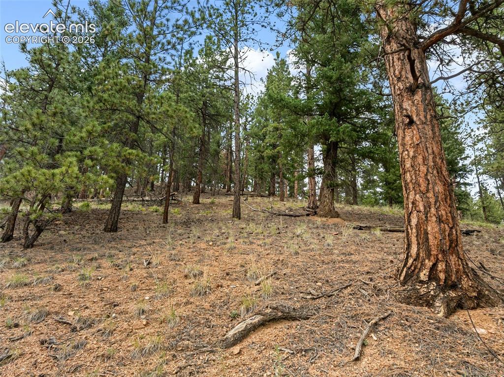 3919 County Road 33 Sedalia CO 80135