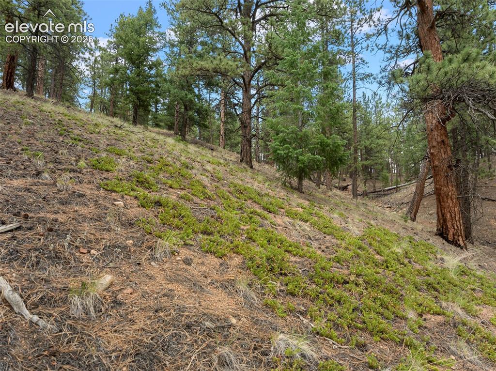 3919 County Road 33 Sedalia CO 80135
