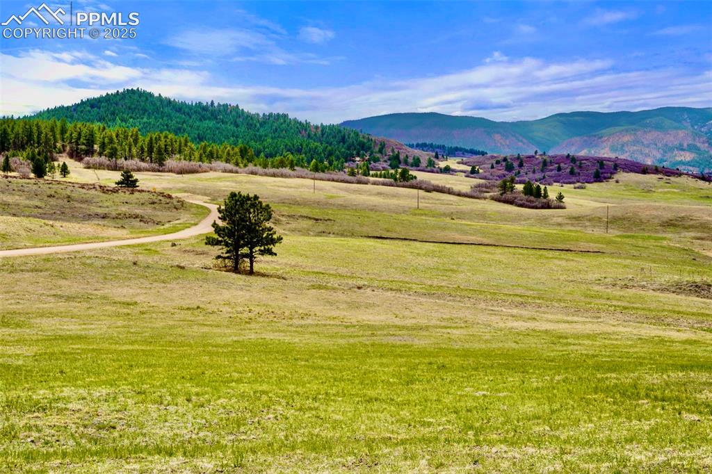 2801 Verbena Drive Larkspur CO 80118