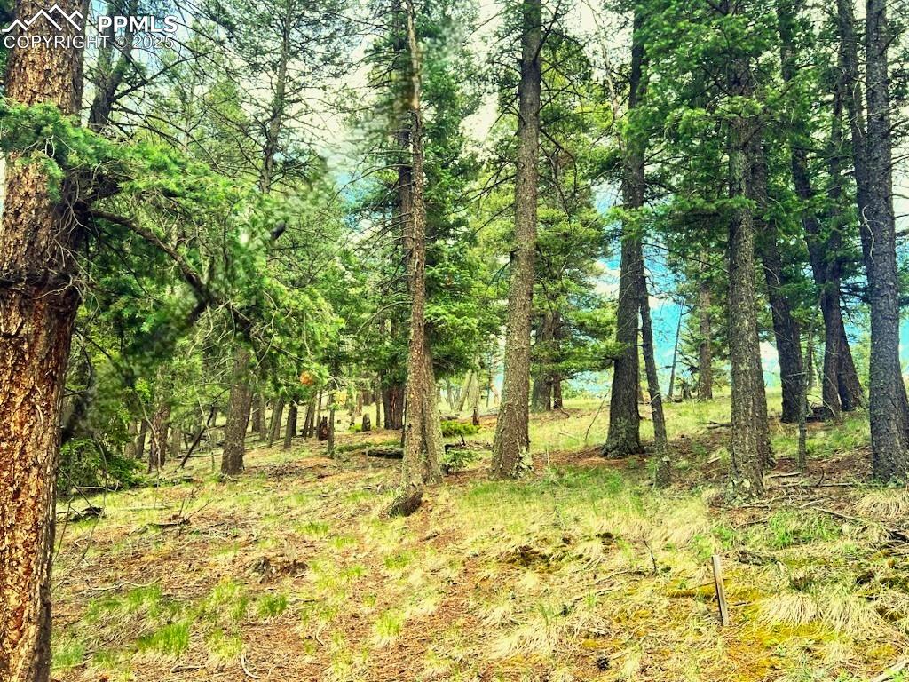 179 Kenosha Way Florissant CO 80816