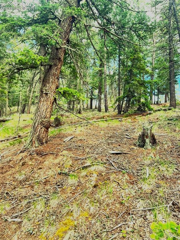 179 Kenosha Way Florissant CO 80816
