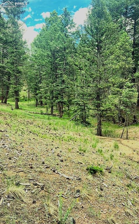 179 Kenosha Way Florissant CO 80816