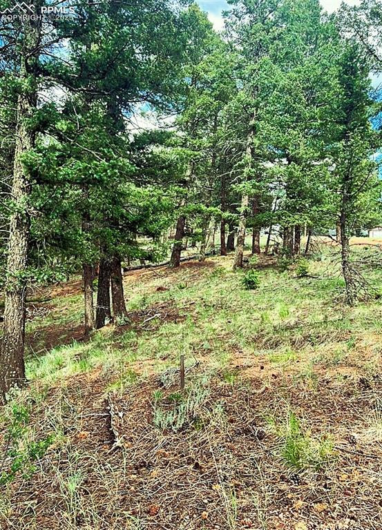 179 Kenosha Way Florissant CO 80816