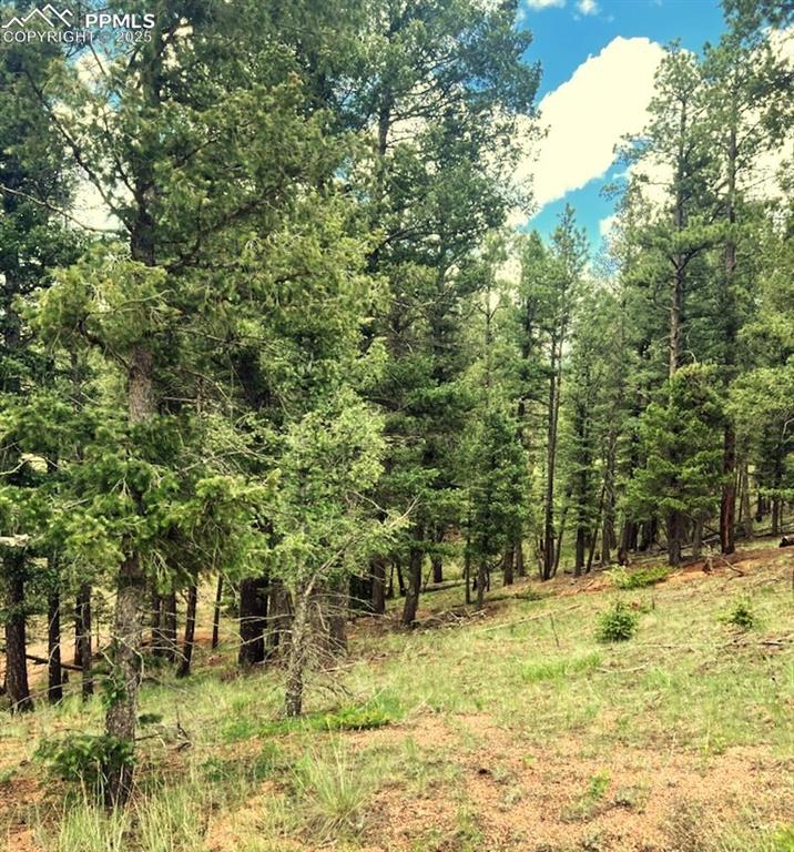 179 Kenosha Way Florissant CO 80816