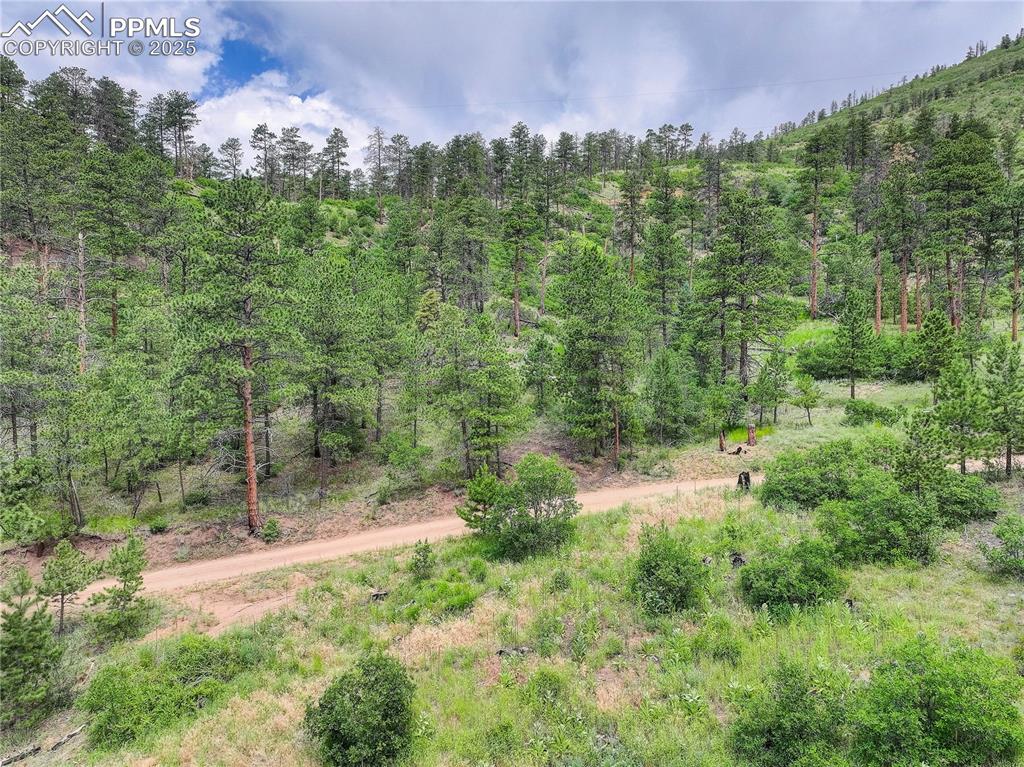 6085 Wellington Road Cascade CO 80809