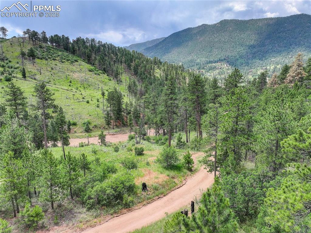 6085 Wellington Road Cascade CO 80809