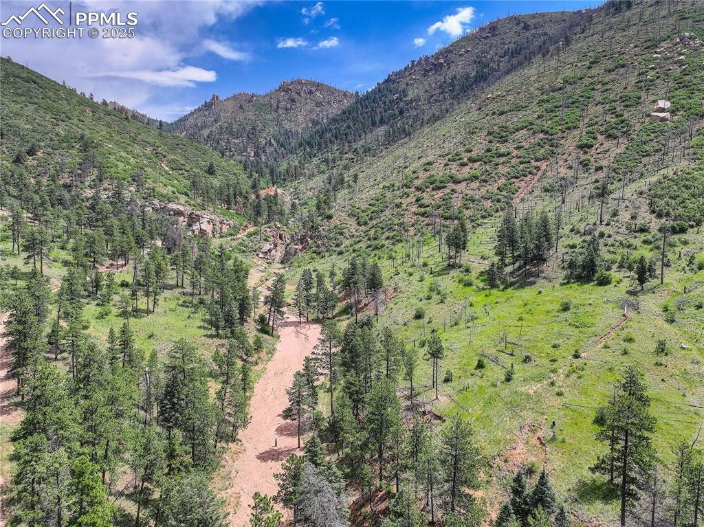 6085 Wellington Road Cascade CO 80809