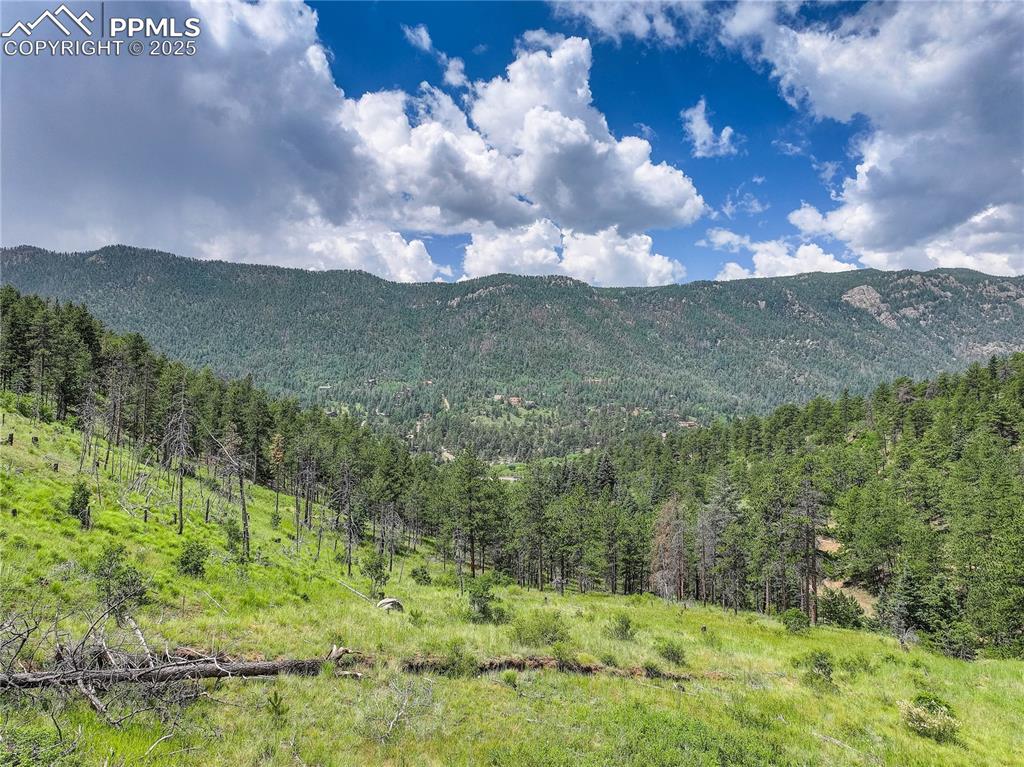 6085 Wellington Road Cascade CO 80809