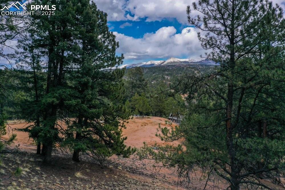 102 Blue Bell Circle Cripple Creek CO 80813