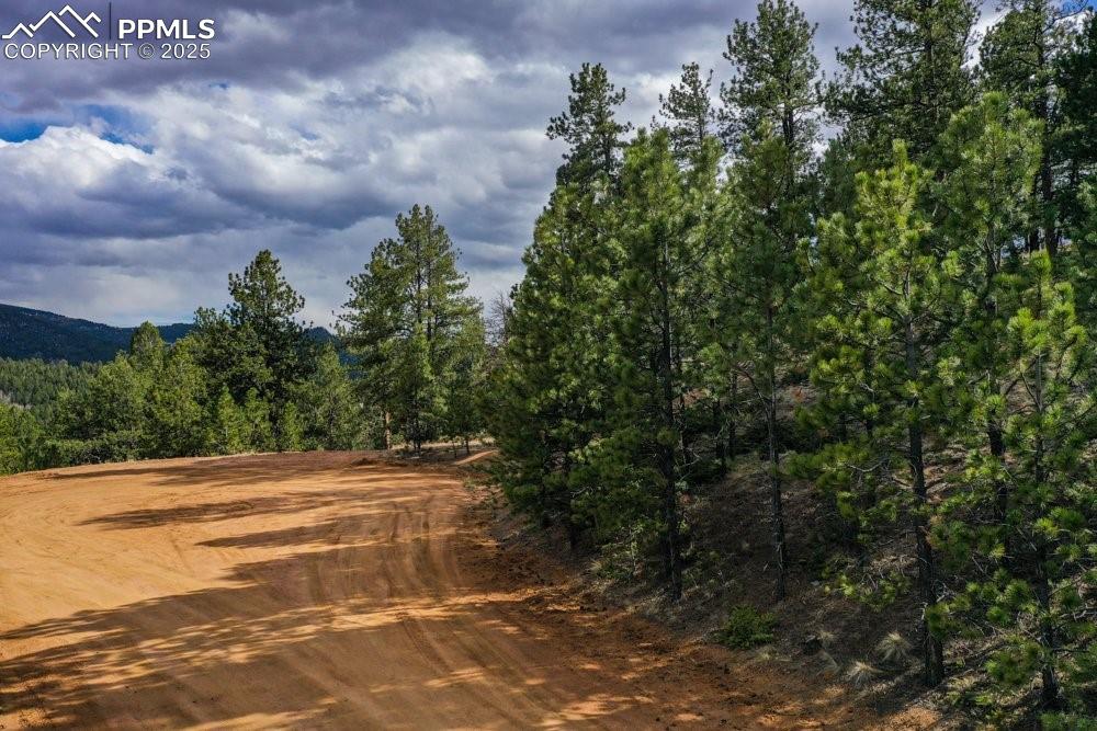 102 Blue Bell Circle Cripple Creek CO 80813