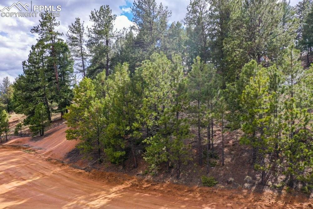 102 Blue Bell Circle Cripple Creek CO 80813
