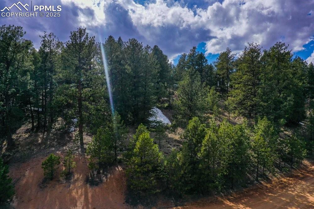 102 Blue Bell Circle Cripple Creek CO 80813