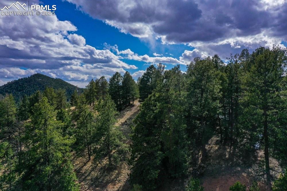 102 Blue Bell Circle Cripple Creek CO 80813