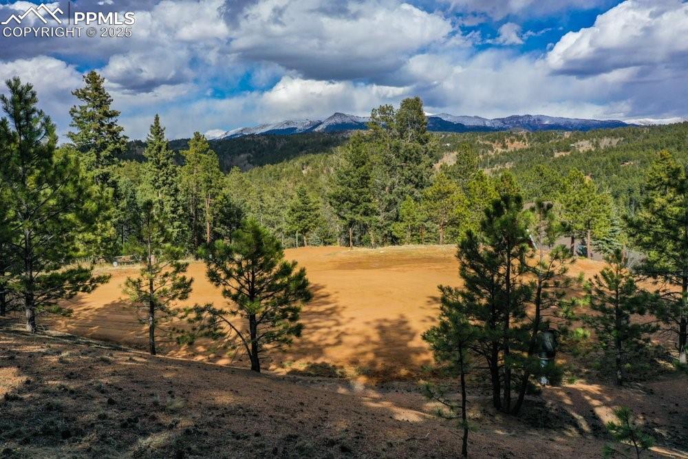102 Blue Bell Circle Cripple Creek CO 80813